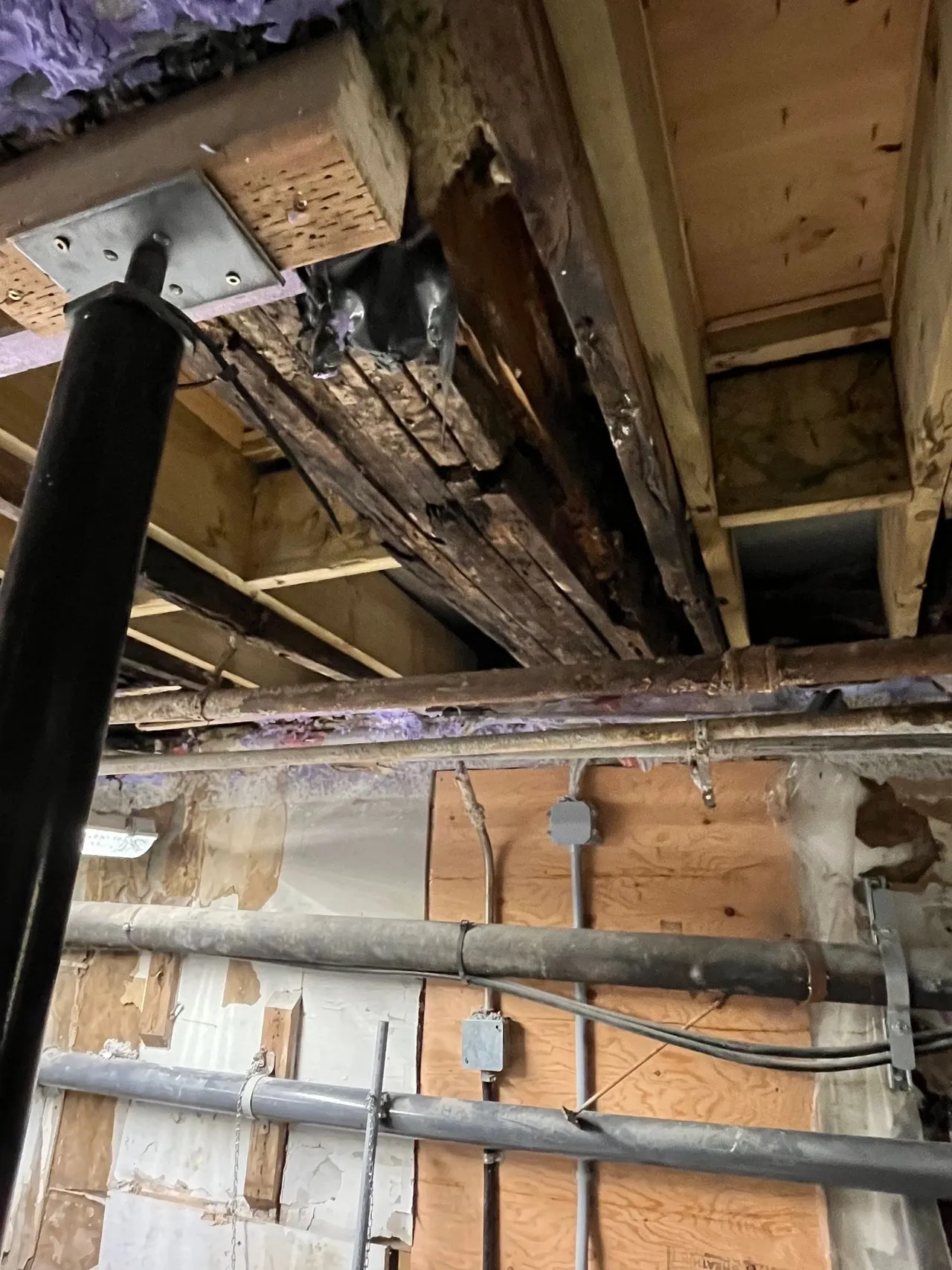 Rotten floor joists before repair at Emerald Lake Lodge Cilantro Building