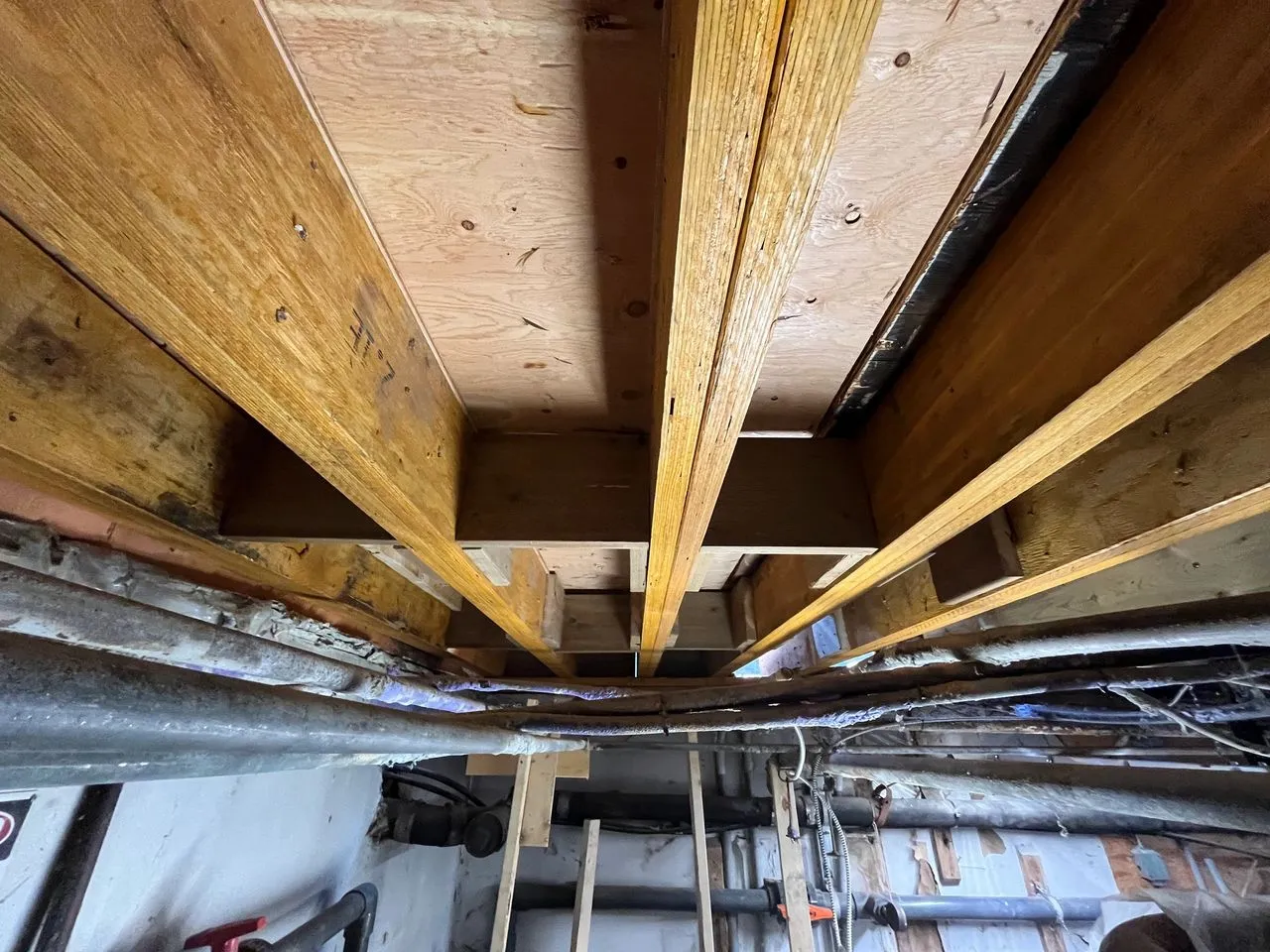 New 2-ply LVL joists being installed in the basement of the Cilantro Building