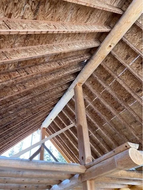 Interior view of the new 12/12-pitch roof framing on the log cabin